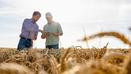 Fotografia de El ingeniero agrónomo, figura clave en la transformación digital del sector agroalimentario
