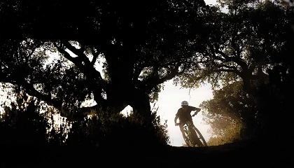 Foto de Nacidas para arrassar: nuevas bicis de SCOTT