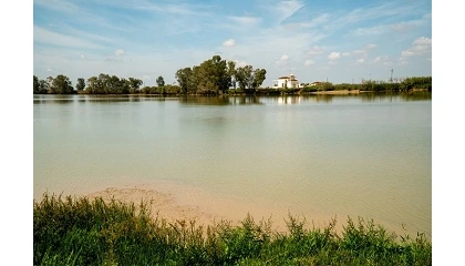 Foto de El MITECO abre a consulta pública las bases de nuevas ayudas para impulsar prácticas agrarias sostenibles