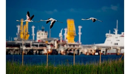 Foto de Port Tarragona fija 27 objetivos y 87 metas en su Plan de Sostenibilidad 2026-2030