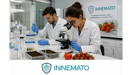 Foto de GO Innemato: ozono y microorganismos para combatir los nematodos en tomate y fresa