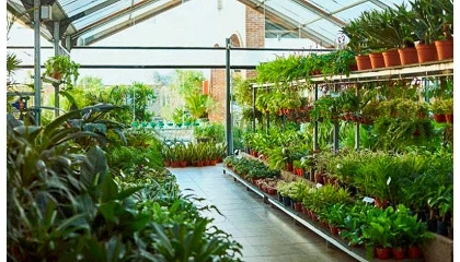Foto de Las exportaciones espa�olas de planta viva crecen un 3,6% hasta junio y alcanzan 376,8 millones de euros