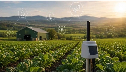 Foto de El campo lidera la implantación del IoT en España