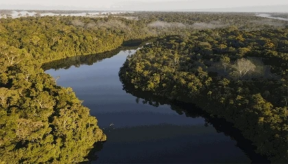Foto de La acci�n clim�tica en la Amazon�a brasile�a comienza en las ciudades