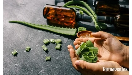 Foto de El auge de los extractos vegetales en dermocosm�tica: ciencia, eficacia y seguridad