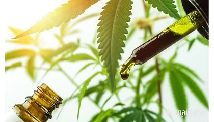 Foto de CBD: todo sobre el cannabidiol y la evidencia científica que lo respalda