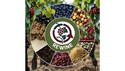 Foto de REWINE busca convertir los residuos vitivin�colas en biofertilizantes y nuevos materiales