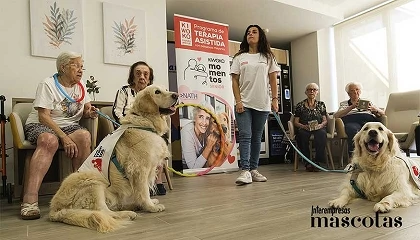 Foto de Momentos by Kiwoko amplía su impacto con el lanzamiento de Momentos Senior, una iniciativa para combatir la soledad no deseada en personas mayores con perros de terapia