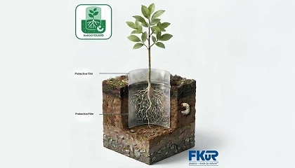 Foto de Desarrollan una pel�cula pl�stica biodegradable para proteger las ra�ces de �rboles j�venes