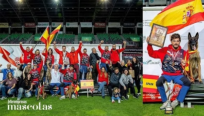 Foto de Íñigo Sierra, subcampeón del mundo, y España, tercera por equipos en la Fórmula 1 de las competiciones caninas en el Mundial FCI-IGP 2026