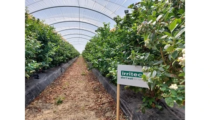 Foto de Irritec Iberia: soluciones completas para un riego m�s preciso