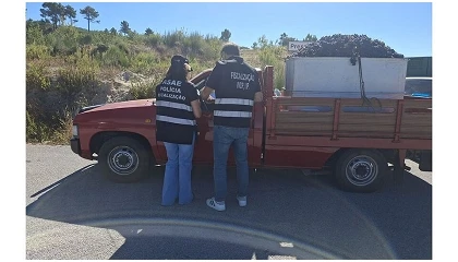Foto de ASAE fiscaliza 43 ve�culos de transporte de uva na Regi�o Demarcada do Douro