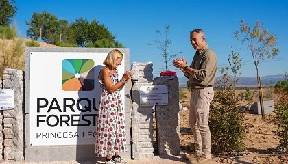 Foto de Arco Verde suma 12.871 �rboles y arbustos aut�ctonos en Alcobendas