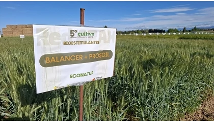 Foto de Reguladores del sistema planta-suelo-microbioma
