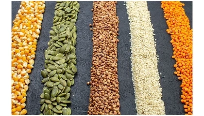 Foto de ProVeg pede crit�rios mais rigorosos na contrata��o p�blica de alimentos