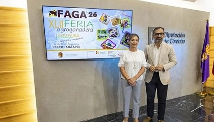 Foto de FAGA 2026 re�ne cerca de 300 animales y refuerza su papel como escaparate ovino