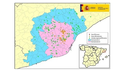 Foto de La peste porcina africana suma 70 focos y 391 jabalíes positivos en Cataluña