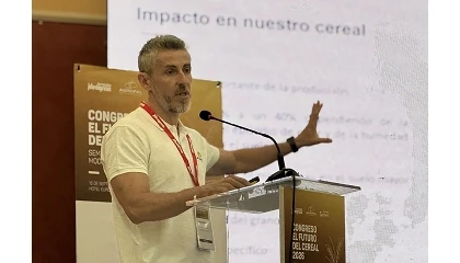 Foto de Semilla certificada AGROPAL: Un valor diferencial