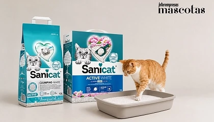 Foto de El bienestar de tu gato empieza por su arena: la gu�a definitiva de Sanicat