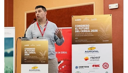 Foto de Las legumbres como pilar de la fertilidad y sostenibilidad del suelo