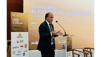 Foto de Castilla y Le�n prepara 30 millones en ayudas al cereal para activarlos 