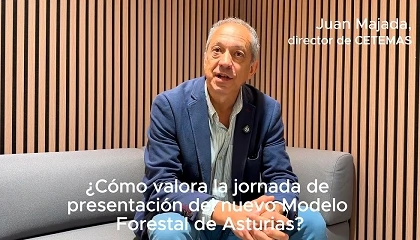 Foto de Juan Majada, director de Cetemas: �La madera tiene hoy una proyecci�n muy importante a nivel global�