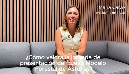 Foto de Mar�a Calvo, presidenta de FADE: �Asturias cuenta con todo el ecosistema para ser competitiva en el sector�