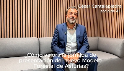Foto de C�sar Cantalapiedra, socio de AFI: �Asturias tiene la materia prima, una gran diversidad de bosques, tejido empresarial y un puerto�
