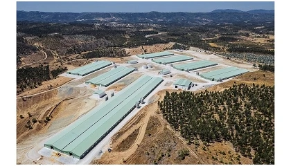 Foto de Grupo Lusiaves tem nova unidade av�cola 4.0 com capacidade para 711 mil frangos por ciclo