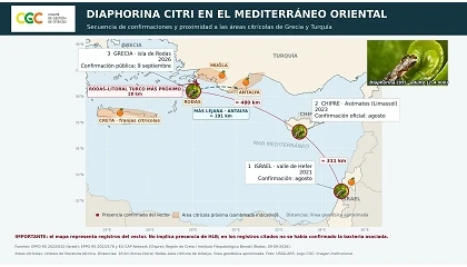 Foto de Detectan el vector del HLB en Grecia, obligando a redoblar el control sobre zonas citr�colas turcas y griegas