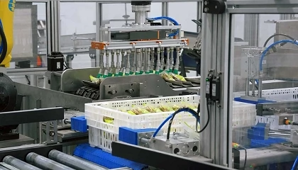 Foto de Coalza Systems e Irta Group automatizan el envasado y encajado de frutos secos en la planta de bon�rea en �pila
