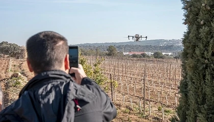 Foto de INNOVI abre en Falset su segunda sede para reforzar su presencia en el sur de Catalu�a