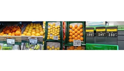 Foto de Detectan residuos de fitosanitarios no autorizados en la UE en el 83% de los c�tricos importados que venden los supermercados valencianos