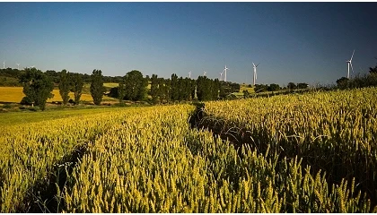 Foto de Navarra cita a los profesionales del sector para hablar del futuro del campo