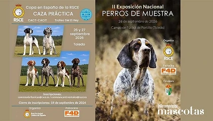 Foto de Toledo acoge la XXXIV Copa de España de Caza Práctica Natural - Trofeo SM el Rey y la II Exposición Nacional de Perros de Muestra este fin de semana