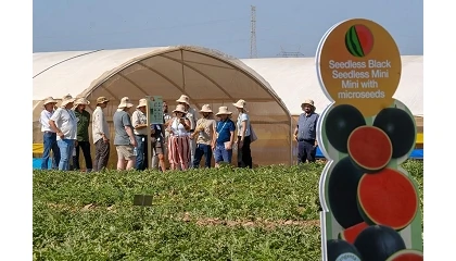 Foto de Cuando el campo se convierte en experiencia: cómo diseñar eventos que realmente conectan en el sector agro