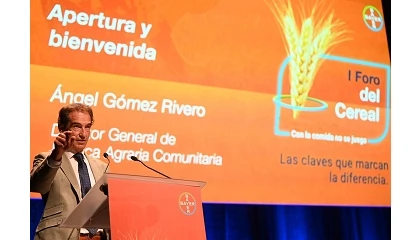 Foto de Bayer reúne en Burgos al sector cerealista para abordar los retos del cultivo
