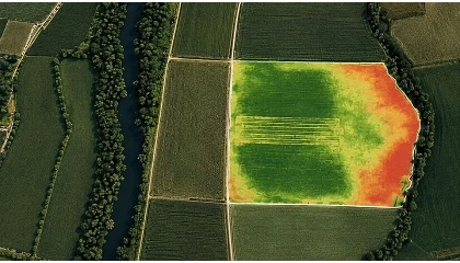 Foto de Do custo do carbono ao ativo agr�cola: est� Portugal preparado?