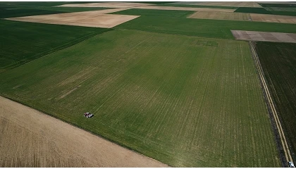 Foto de Ensayos On-Farm 5.0 para generar información real y mejorar la toma de decisiones en fertilización del cereal