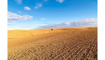 Foto de Las hipotecas sobre fincas rústicas aumentaron un 24,7% en julio