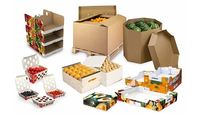Foto de DS Smith presenta en Fruit Attraction su innovadora gama de soluciones de packaging sostenible para frutas y verduras