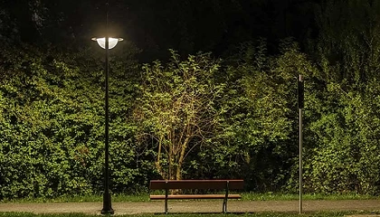 Foto de Iluminación exterior y protección de la fauna: soluciones para reducir el impacto de la luz artificial
