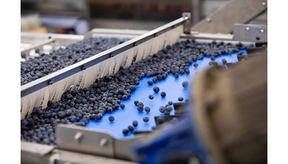 Foto de TOMRA presentará en Fruit Attraction la nueva 5S Blueberry