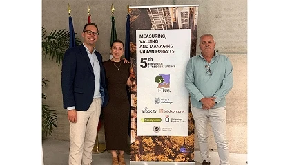 Foto de Málaga reúne a expertos europeos para avanzar en la gestión del arbolado urbano