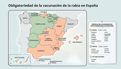Foto de Los perros están detrás del 99% de las transmisiones de rabia a humanos