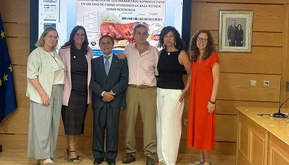 Foto de Citogen�tica, gen�tica cuantitativa y gen�mica para mejorar la fertilidad en raza Retinta