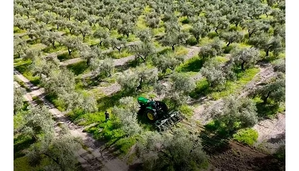 Foto de DIGISOST.OLI estudiará cómo aplicar la digitalización al olivar hasta 2030