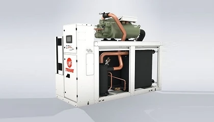 Foto de The Very Best: Trane