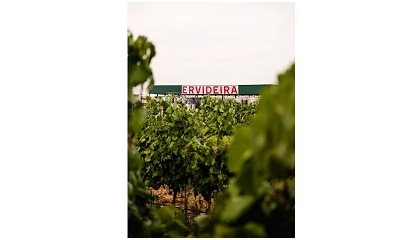Foto de Programa de Sustentabilidade dos Vinhos do Alentejo chega aos 30 produtores certificados