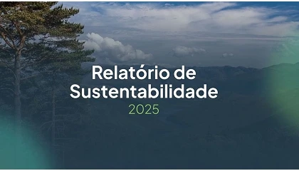 Foto de Adene publica Relat�rio de Sustentabilidade
